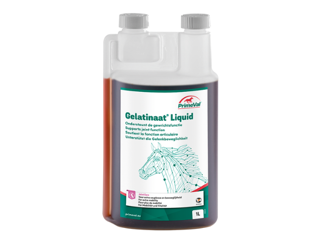 PrimeVal Gelatinate liquid 1L